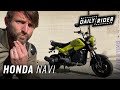 2022 Honda Navi | Daily Rider