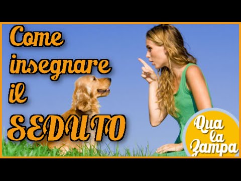 Se è possibile non prendere vermi Zucchero con catrame da parassiti