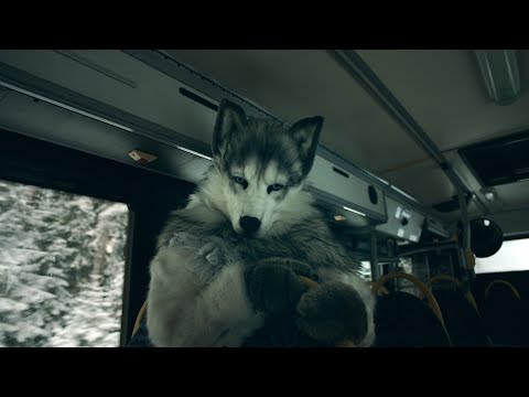 zeven - Be Here Soon e03/10