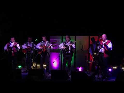 Najbolji hrvatski tamburaši   Od dvora, do dvora   Slano 2019