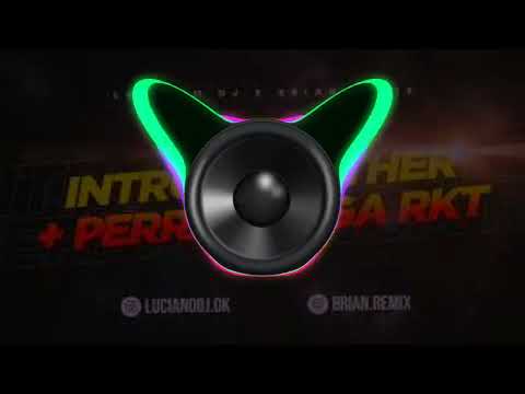 🔈BASS BOOSTED🔈 - INTRO EL FATHER + PERRA PALGA - RKT - NICO DJ,LUCIANO DJ FT BRIAN REMIX