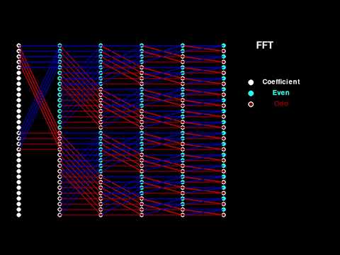 FFT (Fast Fourier Transform)