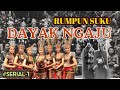 RUMPUN SUKU DAYAK NGAJU Memiliki 81 Sub Suku Tersebar Di Kalimantan Tengah Selatan Dan Timur