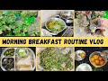 Indian Housewife Daily Life Vlog Morning Breakfast Routine Vlog Terrace Garden Update