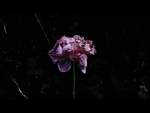 (FREE) The Weeknd x Drake Type Beat - Fake Love Ft. A Boogie