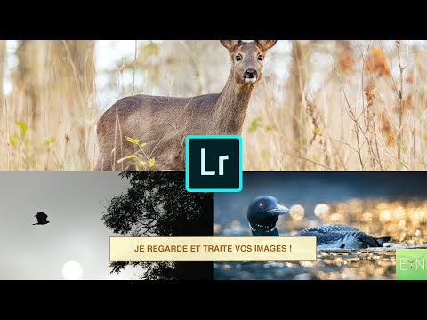 PARLONS DE VOS PHOTOS ! Revue #2 Février.