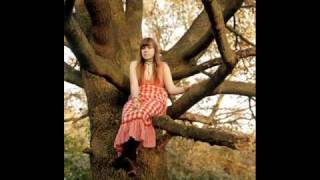 Alessi's Ark - The Horse