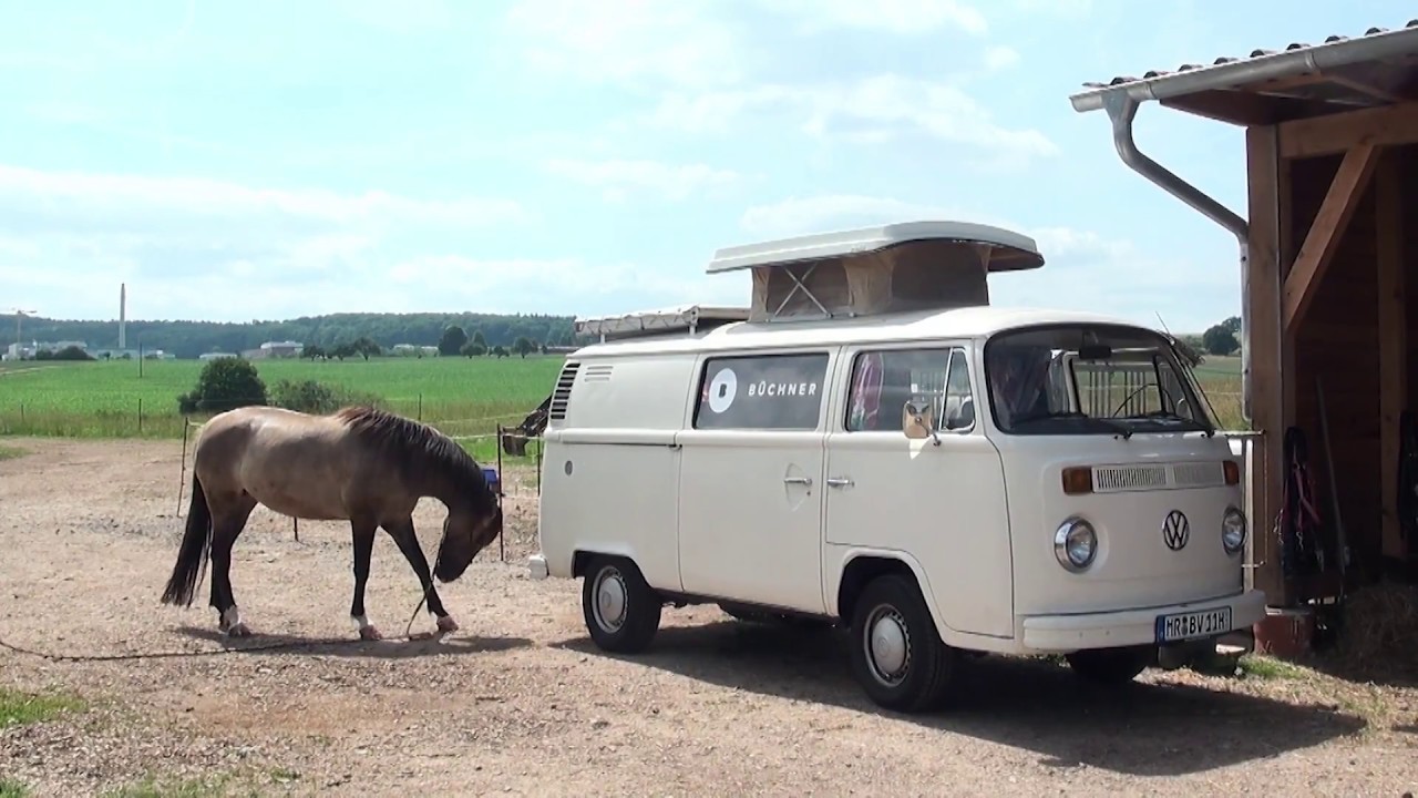 Bulli-Talk: Michael Striss über "Gnade spricht Gott – Amen mein Colt"