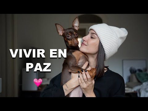 CÓMO HE APRENDIDO A VIVIR EN PAZ 💕 #Brookietalk