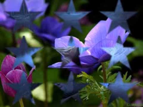 I miss you   ...   Natalia Lesz