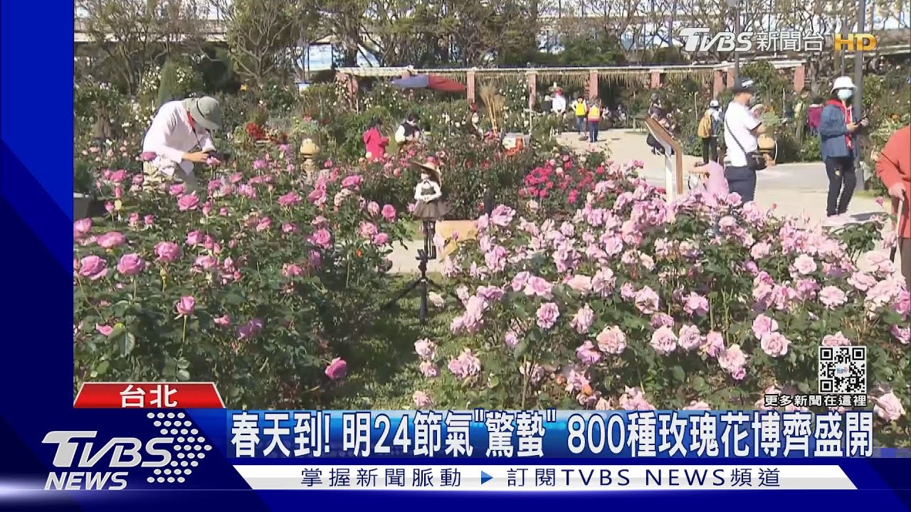 春天到！明24節氣「驚蟄」　800種玫瑰花博齊盛開