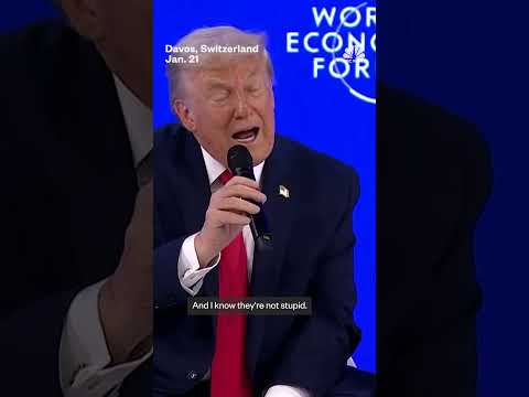 Trump: Putin, Zelenskyy are 'stupid' to not reach deal