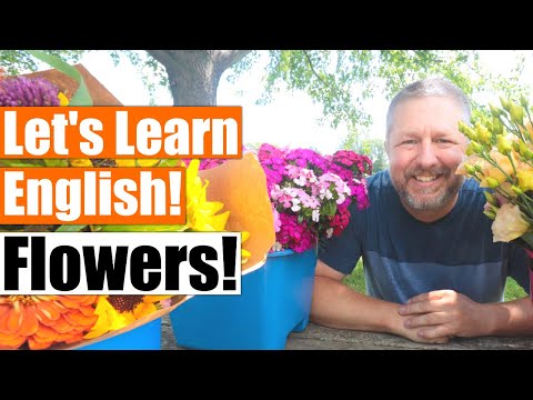 Learn English as I Give a Tour of Our Flower Farm!