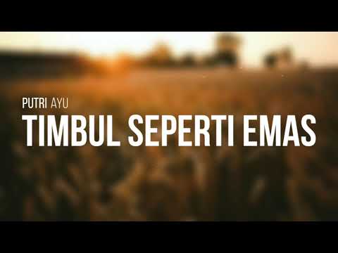 Putri Ayu - Timbul Seperti Emas (lirik video)