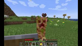 【マイクラJAVA版】無言実況 開拓物語 002 探鉱準備