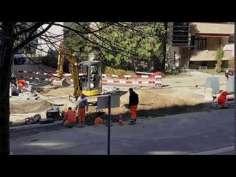 Pexels Videos 1970049