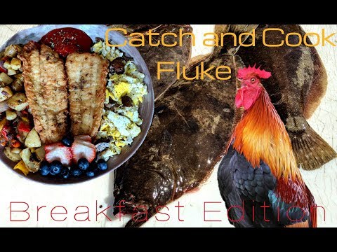 Catch and Cook Breakfast edition Fluke / Flounder