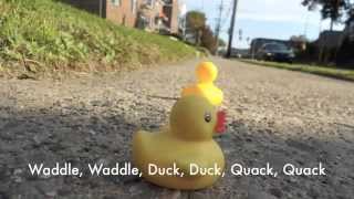 The Rubber Duck