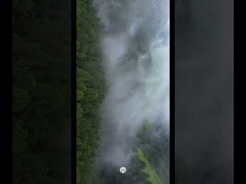 Kerala, Nature’s Artistry | Travel Destination in Kerala