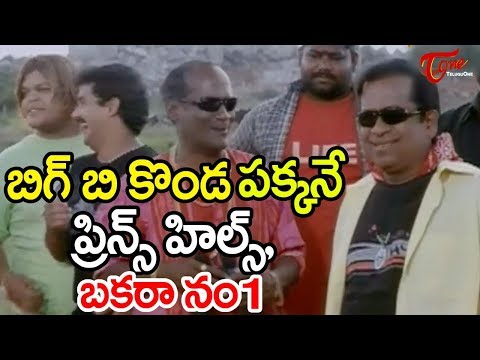 బిగ్ బి కొండ పక్కనే ప్రిన్స్ హిల్స్, బకరా నం 1 | Brahmanandam Hilarious Comedy Scenes - TeluguOne Video