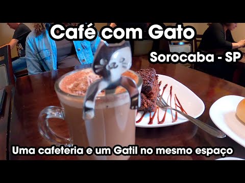 CONHECENDO O DIFERENTE E INCRÍVEL CAFÉ COM GATOS EM SOROCABA - SP