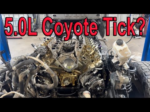 Does Your Ford 5.0 Coyote Have A Engine Noise? Here Is The Most Common Issue