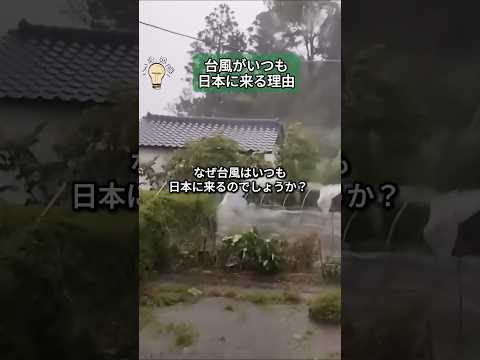 天気: 気象学者が警告 - 今後数週間に大規模な嵐が予想される