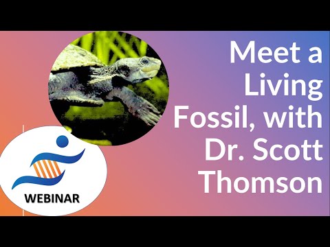 Meet a Living Fossil, with Dr. Scott Thomson