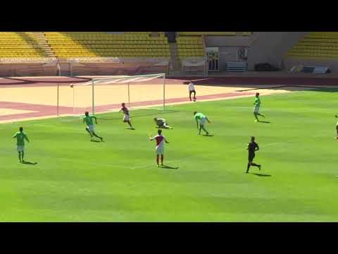 HALAMIA JORDAN BEST OF