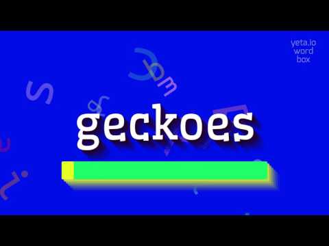 GECKOES - HOW TO PRONOUNCE IT? #geckoes