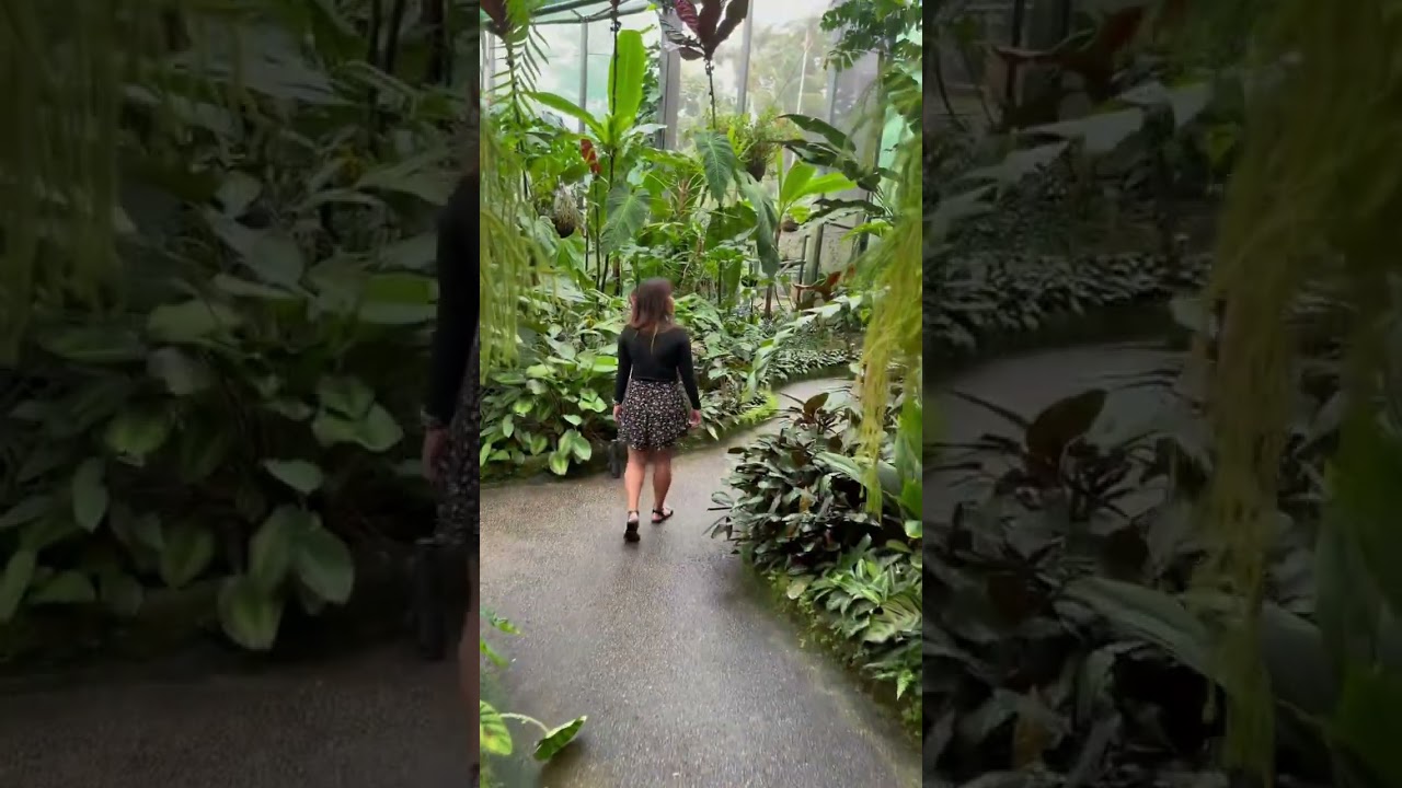 YouTube Short thumbnail