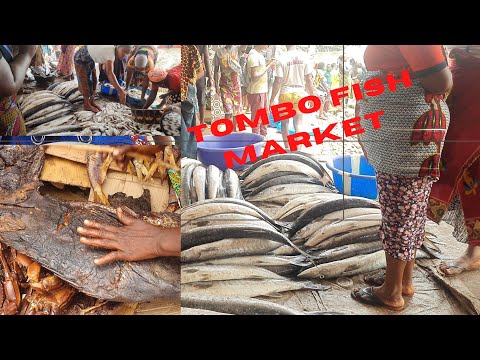 SIERRA LEONE 🇸🇱 BIGGEST FISH MARKET RAW & DRY FISH  IN TOMBO COMING SOON! FOR MORE PLEASE SUBSCRIBE2