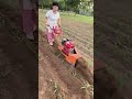 Water And Land Dual Purpose Rotary Tiller Rotary Tillage Weeding Ditching Grass Cutting And