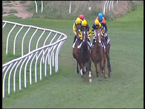 Galoppo 27/02/2016 - 4° corsa