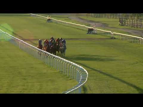 2018.09.09. 10. futam - KINCSEM DÍJ (HUN Gd-1) (NGL-VII.)