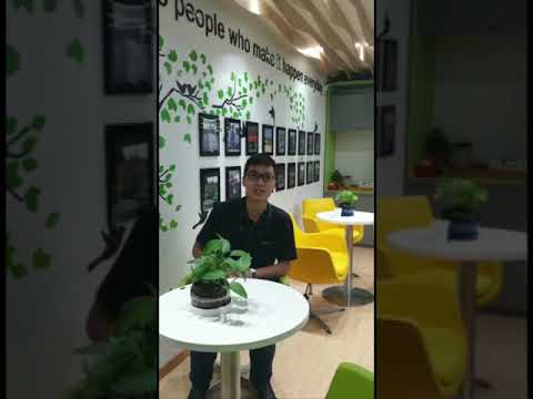 Video 5