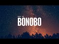 Best of Bonobo 2025 | Downtempo Mix
