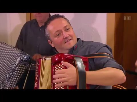 Schwarzer Kater Ueli Wanderon, LQ waschächt