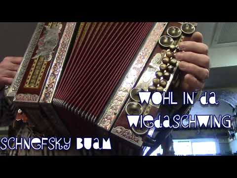 Wohl in da Wiedaschwing - Kärntner musi - Schnefsky Buam