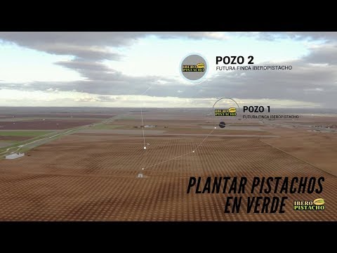 , title : 'Plantar Pistachos en Verde Finca de IberoPistacho'
