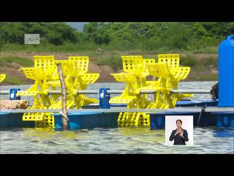 Cuba: Activan Consejos de Defensa Municipales en Camagüey