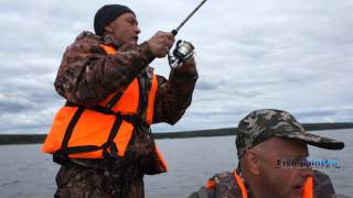 Fish point рыбалка на новой риге
