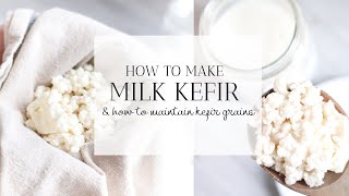 HOW TO MAKE MILK KEFIR | Tips for Maintaining Kefir Grains