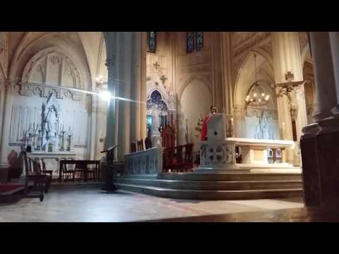 Apóstoles San Pedro y San Pablo / Evangelio del día