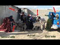 Failure in Theft: Second Wife's Failed Attempts to Steal Sheep