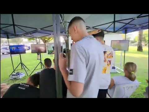 תמונה של נהוראי מלך החיות