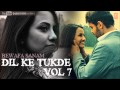 Toone Dil Ke Rakibon Sang Full Song Sonu Nigam Bewafa Sanam Dil Ke Tukde Vol 7