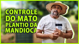 Controle de mato no plantio de mandioca