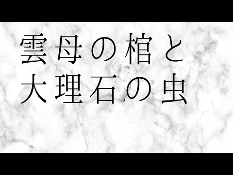 恐ろしいスーパーセル: 巨大な雹はこうして形成される