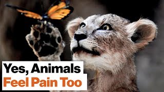 Richard Dawkins: No Civilized Person Accepts Slavery, So Why Do We Accept Animal Cruelty?